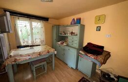 Casă în Băcia – teren generos 6.557 mp, ideal pentru investiție!