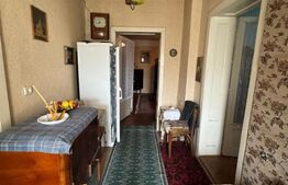 Casă în Băcia – teren generos 6.557 mp, ideal pentru investiție!