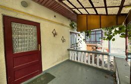 Casă în Băcia – teren generos 6.557 mp, ideal pentru investiție!