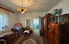 Casă în Băcia – teren generos 6.557 mp, ideal pentru investiție!