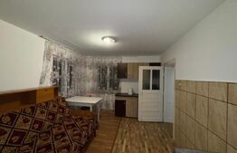 Casa cu 4 camere, 117 mp, teren generos de 5594 mp, in Criscior 