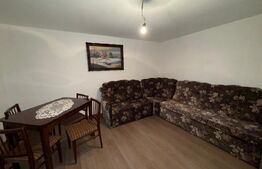 Casa cu 4 camere, 117 mp, teren generos de 5594 mp, in Criscior 