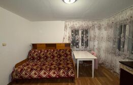 Casa cu 4 camere, 117 mp, teren generos de 5594 mp, in Criscior 