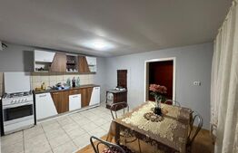 Casa cu 4 camere, 117 mp, teren generos de 5594 mp, in Criscior 