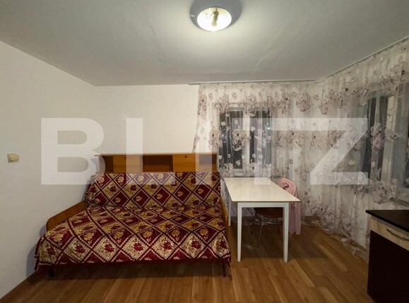 Casa de vânzare 4 camere Criscior - 177456CV | BLITZ Deva | Poza13