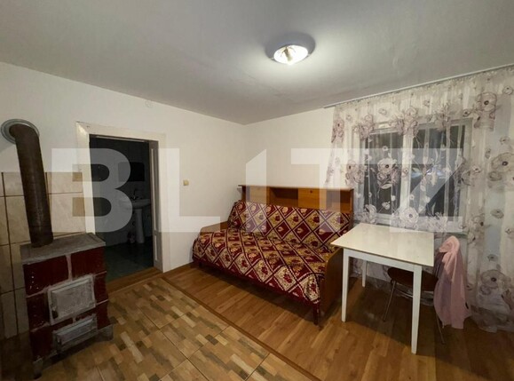 Casa de vânzare 4 camere Criscior - 177456CV | BLITZ Deva | Poza16