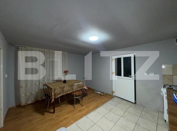 Casa de vânzare 4 camere Criscior - 177456CV | BLITZ Deva | Poza3