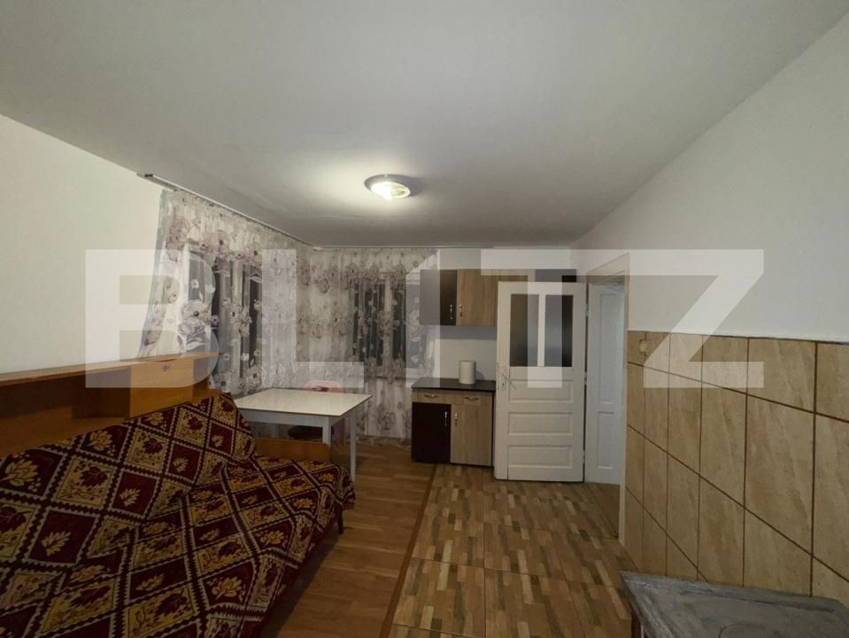 Casa de vânzare 4 camere Criscior - 177456CV | BLITZ Deva | Poza15