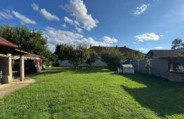 Casa de vanzare, 45 mp + 580 mp teren, zona Simeria