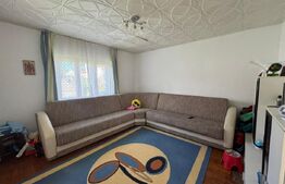 Casa de vanzare, 45 mp + 580 mp teren, zona Simeria