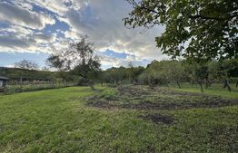 Casă superbă cu 6 camere, 200 mp, în Râpaș