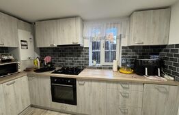 Casă superbă cu 6 camere, 200 mp, în Râpaș