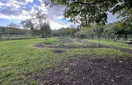 Casă superbă cu 6 camere, 200 mp, în Râpaș