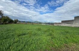 Teren intravilan 716mp in Saulesti