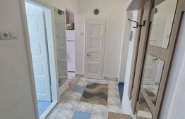 Apartament cochet, ultracentral, complet renovat, 31 mp – zona Primărie, Deva