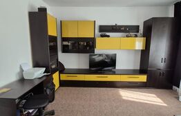 Apartament cochet, ultracentral, complet renovat, 31 mp – zona Primărie, Deva