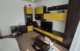 Apartament cochet, ultracentral, complet renovat, 31 mp – zona Primărie, Deva