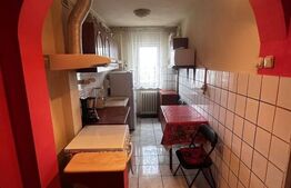 Apartament 2 camere, 40 mp, zona Minerului 