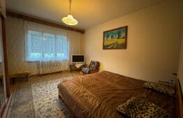 Casa cu 6 camere in Hunedoara zona Zlasti