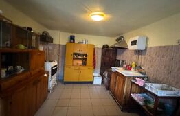 Casa cu 6 camere in Hunedoara zona Zlasti