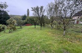 Casa cu 6 camere in Hunedoara zona Zlasti