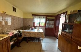 Casa cu 6 camere in Hunedoara zona Zlasti