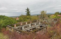  Teren intravilan 7362 mp, Oportunitate de investitie,