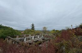  Teren intravilan 7362 mp, Oportunitate de investitie,