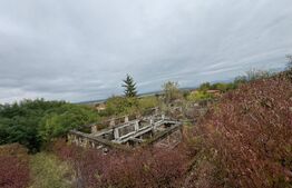  Teren intravilan 7362 mp, Oportunitate de investitie,