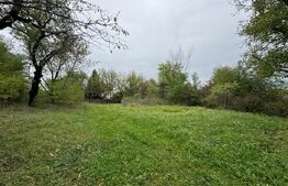  Teren intravilan 7362 mp, Oportunitate de investitie,