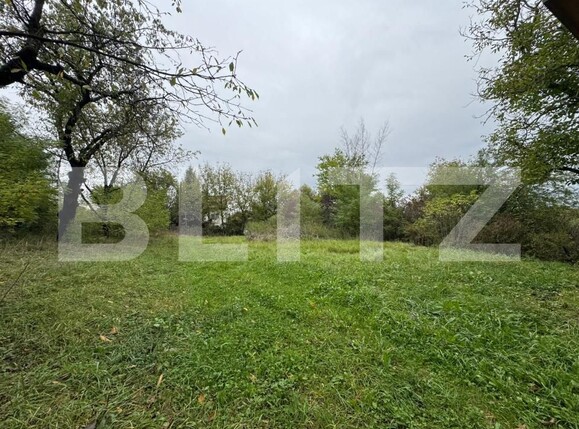 Teren de vânzare Orastie - 179180TV | BLITZ Deva | Poza1
