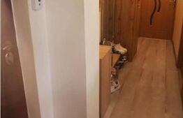 Apartament 2 camere decomandat ,izolat ,renovat