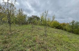 Teren intravilan 1200 mp, zona Zavoi