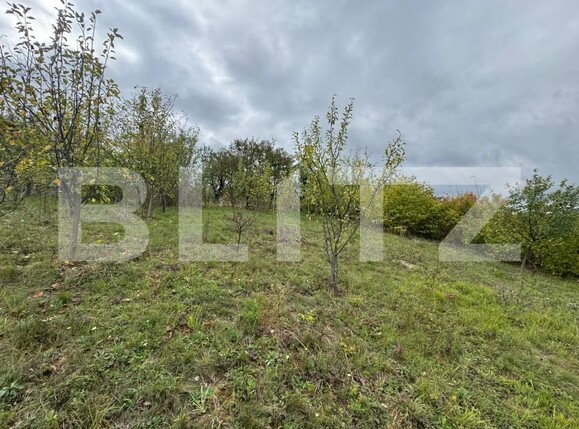 Teren de vânzare Zavoi - 179207TV | BLITZ Deva | Poza2