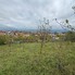 Teren de vânzare Zavoi - 179207TV - Poza 1 din 3 | BLITZ Deva | Poza2