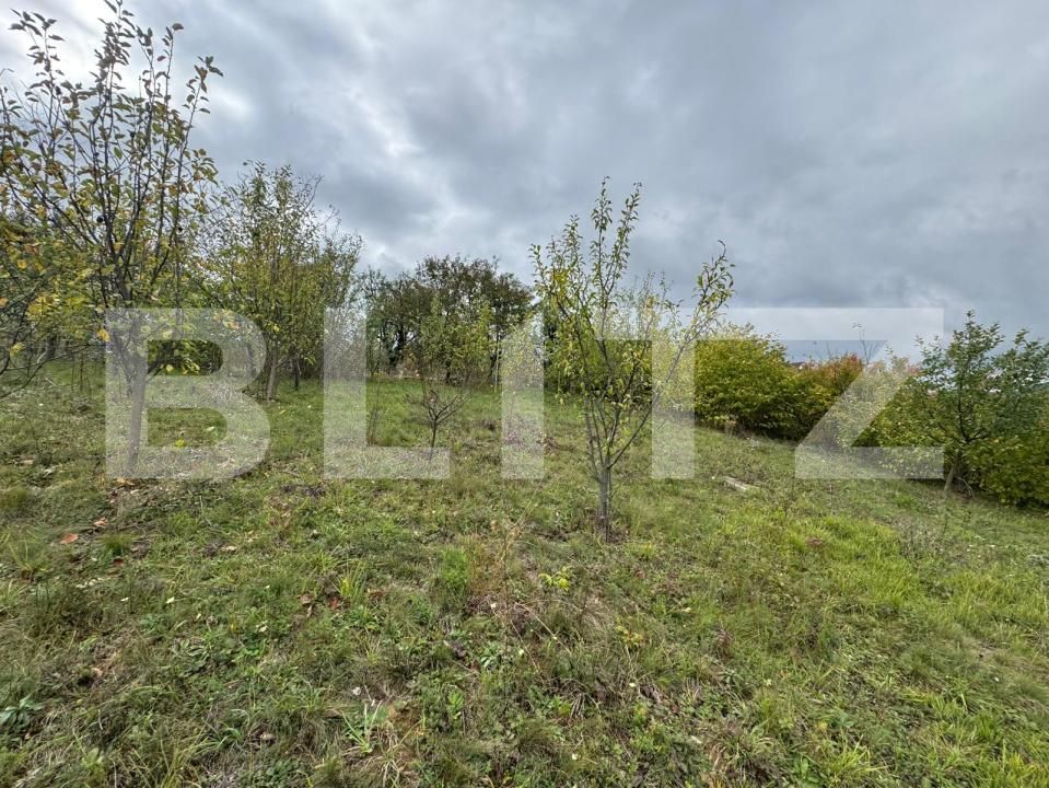 Teren de vânzare Zavoi - 179207TV | BLITZ Deva | Poza2