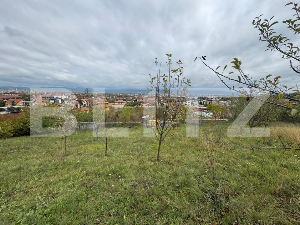 Teren de vânzare Zavoi - 179207TV | BLITZ Deva | Poza3