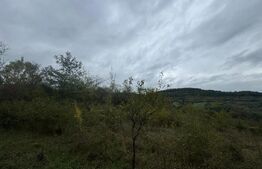 Teren intravilan in Boholt, 11.510 mp