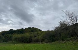 Teren intravilan in Boholt, 11.510 mp