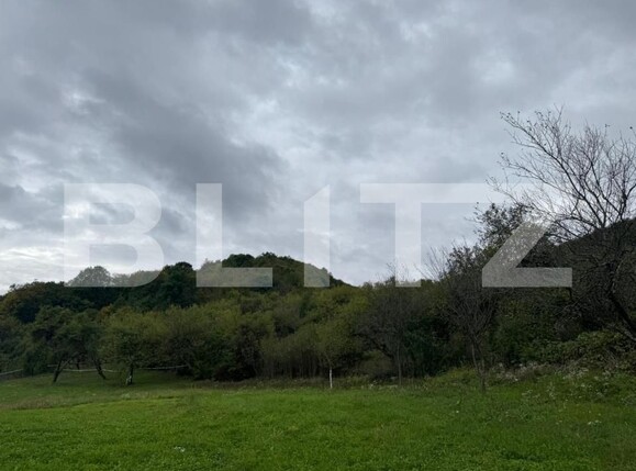 Teren de vânzare Balata - 179383TV | BLITZ Deva | Poza1