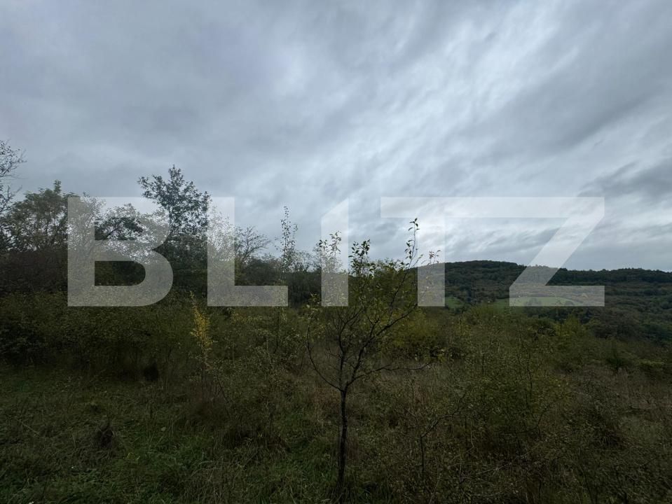 Teren de vânzare Balata - 179383TV | BLITZ Deva | Poza2