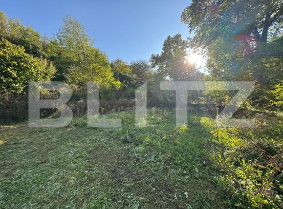 Casa de vânzare 4 camere Orastie - 179473CV | BLITZ Deva | Poza11