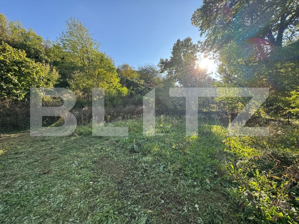 Casa de vânzare 4 camere Orastie - 179473CV | BLITZ Deva | Poza11