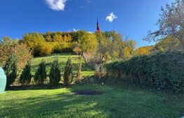 Casa cu 3 camere, zona Ruda Brad