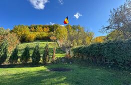 Casa cu 3 camere, zona Ruda Brad