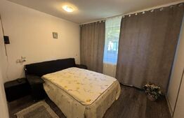 Casa cu 3 camere, zona Ruda Brad