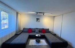 Casa cu 3 camere, zona Ruda Brad