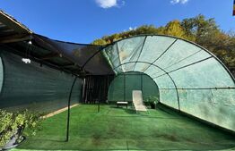 Casa cu 3 camere, zona Ruda Brad