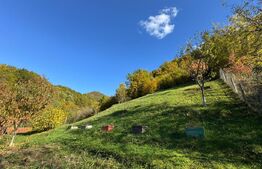 Casa cu 3 camere, zona Ruda Brad