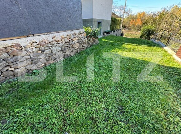 Casa de vânzare 3 camere Brad - 179901CV | BLITZ Deva | Poza19